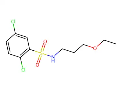 2,5-dichloro-N-(3-ethoxypropyl)benzenesulfonamide structure