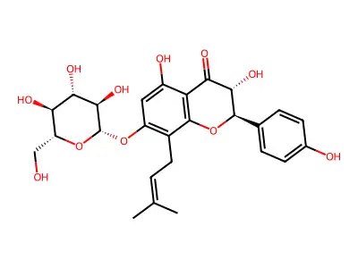 Phellamurin structure