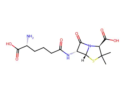 Penicillin N structure