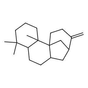 Aphidicol-16-ene structure