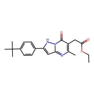 ethyl [2-(4-tert-butylphenyl)-5-methyl-7-oxo-4,7-dihydropyrazolo[1,5-a]pyrimidin-6-yl]acetate structure