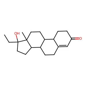 诺乙雄龙 structure
