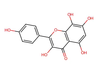草棉黄素 structure