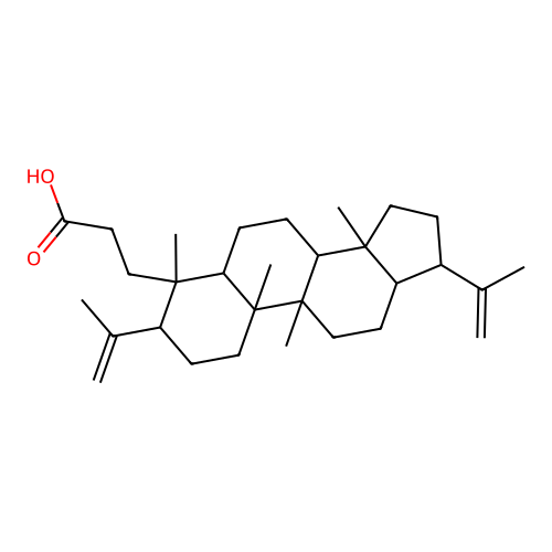 Sebiferic acid structure