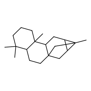 Trachylobane structure