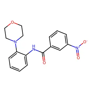 N-(2-morpholin-4-ylphenyl)-3-nitrobenzamide structure