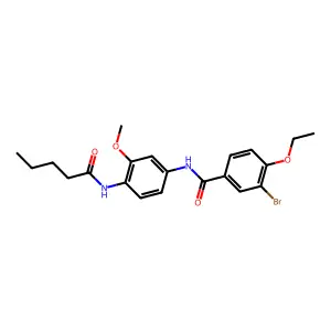 3-bromo-4-ethoxy-N-[3-methoxy-4-(pentanoylamino)phenyl]benzamide structure