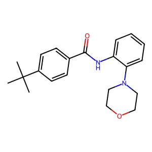 4-tert-butyl-N-(2-morpholin-4-ylphenyl)benzamide structure