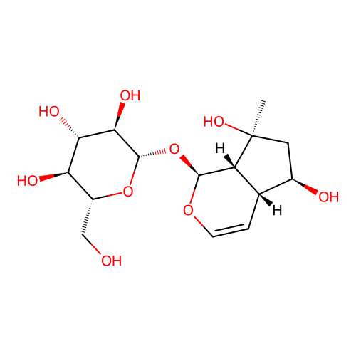 Ajugol structure
