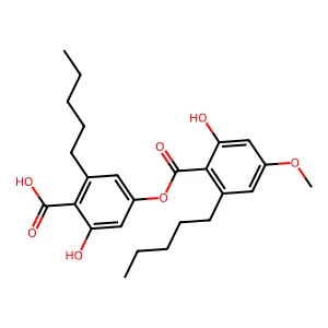 珠光酸 structure
