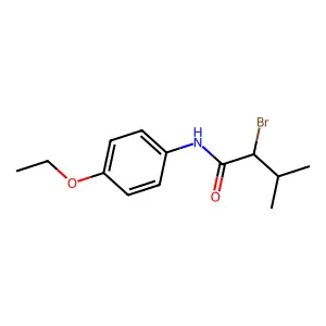 2-溴-N-(4-乙氧基苯基)-3-甲基丁酰胺 structure