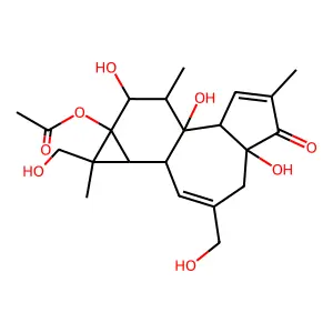 Amezin structure