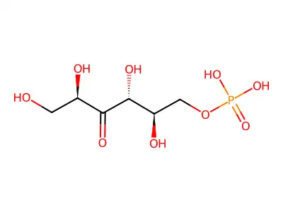 (2,3,5,6-Tetrahydroxy-4-oxohexyl) dihydrogen phosphate structure