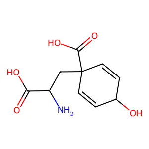 前酪氨酸 structure