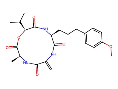 AM-toxin I structure