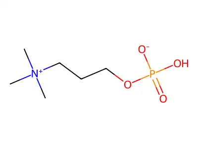 Methyl 3-hydroxy-5,6,7,8-tetrahydronaphthalene-2-carboxylate structure
