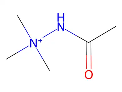 Acetamido(trimethyl)azanium structure