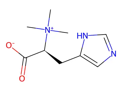 N,N,N-Trimethyl-Histidine structure