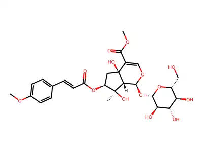methyl (1S,4aR,6S,7R,7aS)-4a,7-dihydroxy-6-[3-(4-methoxyphenyl)prop-2-enoyloxy]-7-methyl-1-[(2S,3R,4S,5S,6R)-3,4,5-trihydroxy-6-(hydroxymethyl)oxan-2-yl]oxy-1,5,6,7a-tetrahydrocyclopenta[c]pyran-4-carboxylate structure
