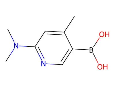 6-(Dimethylamino)pyridine-3-boronic acid structure