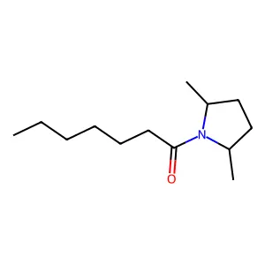 1-(2,5-Dimethylpyrrolidin-1-yl)heptan-1-one structure