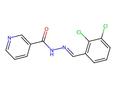 N'-(2,3-Dichlorobenzylidene)nicotinohydrazide structure