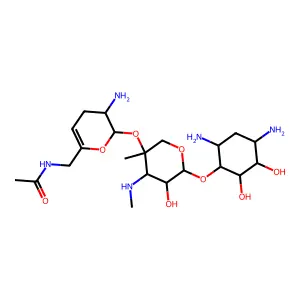 6'-N-Acetylsisomicin structure