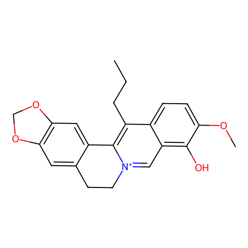 13-Propylberberine structure
