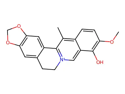 13-Methylberberrubine structure