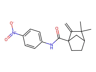 2,2-dimethyl-3-methylidene-N-(4-nitrophenyl)bicyclo[2.2.1]heptane-4-carboxamide structure