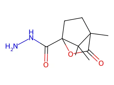 (1S,4S)-4,7,7-trimethyl-3-oxo-2-oxabicyclo[2.2.1]heptane-1-carbohydrazide structure