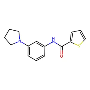 N-(3-pyrrolidin-1-ylphenyl)thiophene-2-carboxamide structure