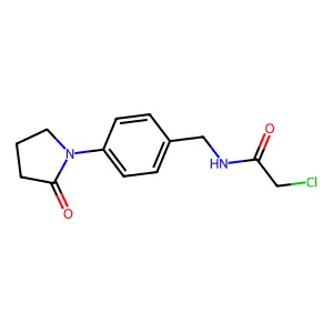 2-chloro-N-[4-(2-oxopyrrolidin-1-yl)benzyl]acetamide structure