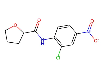 N-(2-chloro-4-nitrophenyl)oxolane-2-carboxamide structure