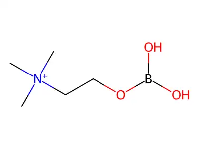 Choline borate structure