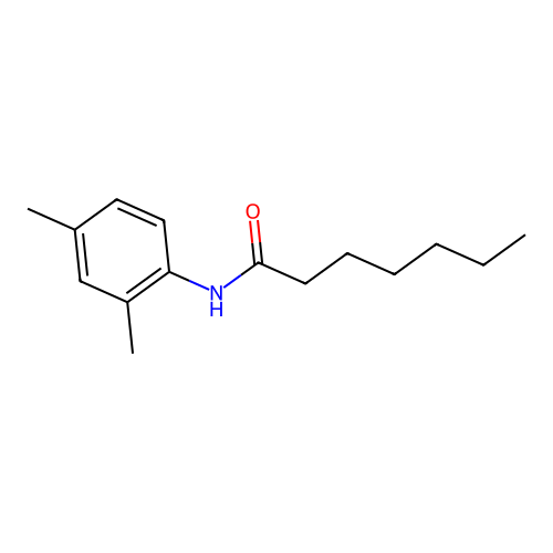 N-(2,4-dimethylphenyl)heptanamide structure