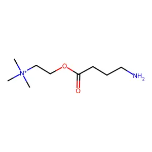 gamma-Aminobutyrylcholine structure