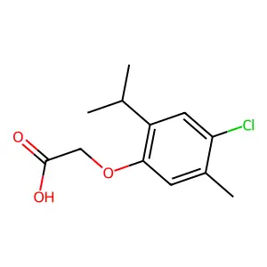 2-(4-Chloro-5-methyl-2-propan-2-ylphenoxy)acetate structure