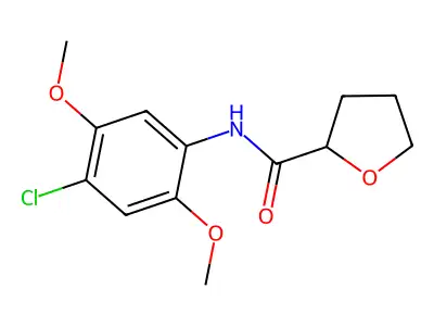 N-(4-chloro-2,5-dimethoxyphenyl)oxolane-2-carboxamide structure