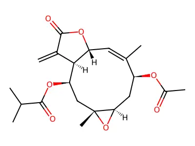 Viguiestenin structure