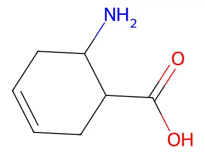 6-Aminocyclohex-3-ene-1-carboxylic acid structure