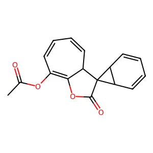 J1.428.081B structure
