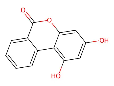 1,3-dihydroxy-6H-benzo[c]chromen-6-one structure