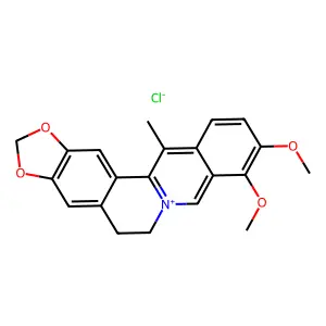 13-Methylberberine structure