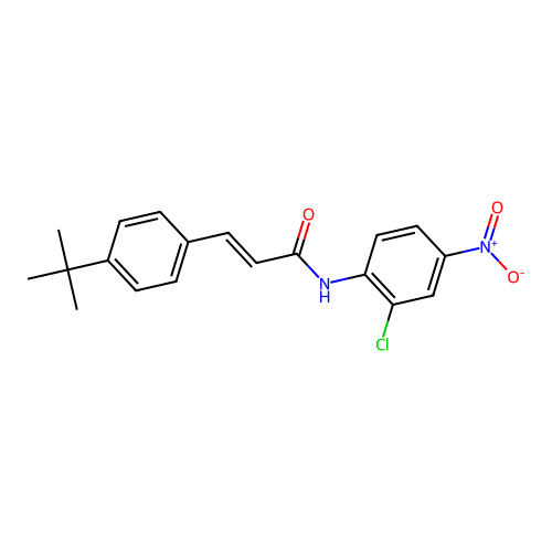 (E)-3-(4-tert-butylphenyl)-N-(2-chloro-4-nitrophenyl)prop-2-enamide structure