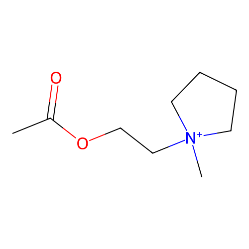 Acetylpyrrolidinecholine structure