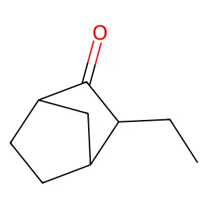 3-Ethylbicyclo[2.2.1]heptan-2-one structure