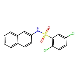 2,5-dichloro-N-(2-naphthyl)benzenesulfonamide structure