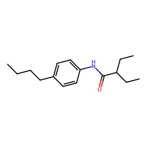 N-(4-butylphenyl)-2-ethylbutanamide structure