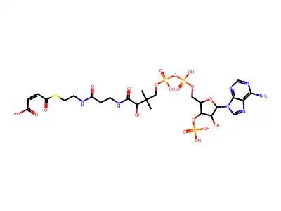Chemical Compound (C25H38N7O19P3S) structure